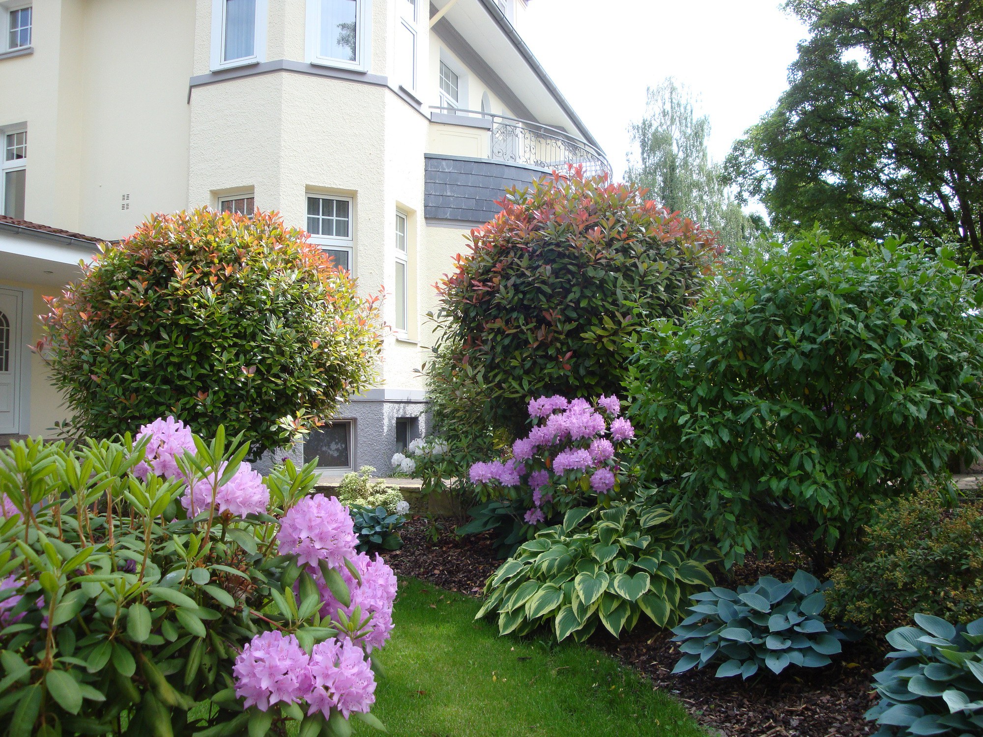 Sträucher und grüne Pflanzen im Außenbereich Hotel Bellevue Hameln